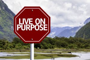 With clarity of life purpose comes the power to take action and live on purpose